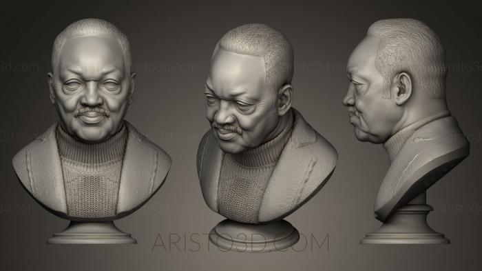 Busts and bas-reliefs of famous people (BUSTC_0521) 3D model for CNC machine